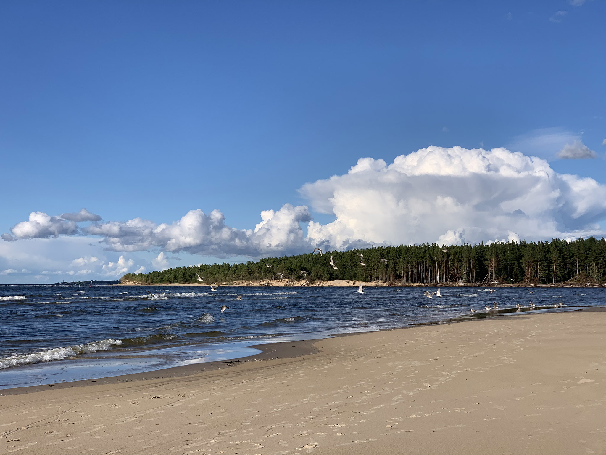 Jurmala